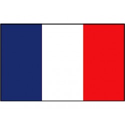 French flag 20x30 cm