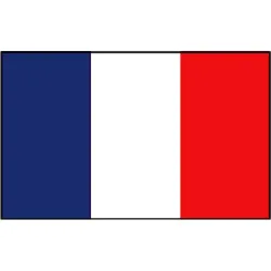 French flag 20x30 cm