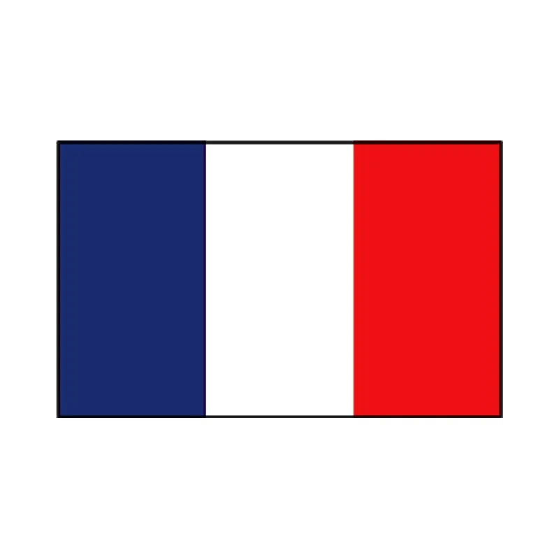 French flag 20x30 cm