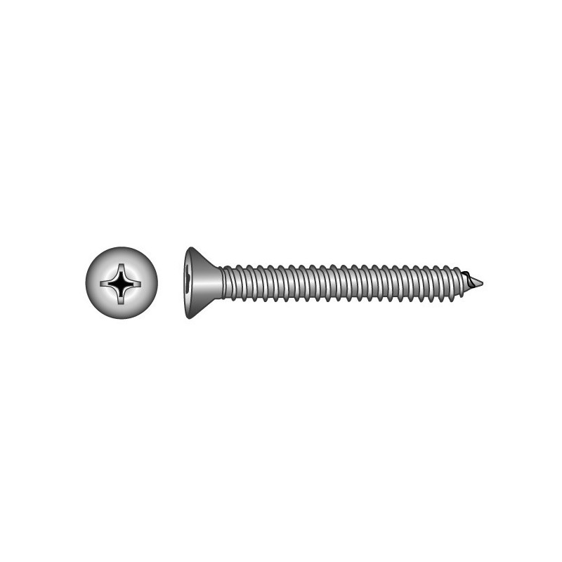 Pan head screws  5,5x50mm (philips) - stainless steel