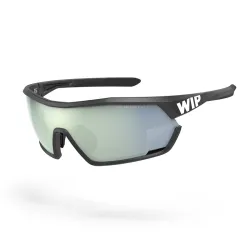 WIP GUST AERO POLARIZED sunglasses