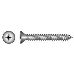 Pan head screws  5,5x50mm (philips) - stainless steel