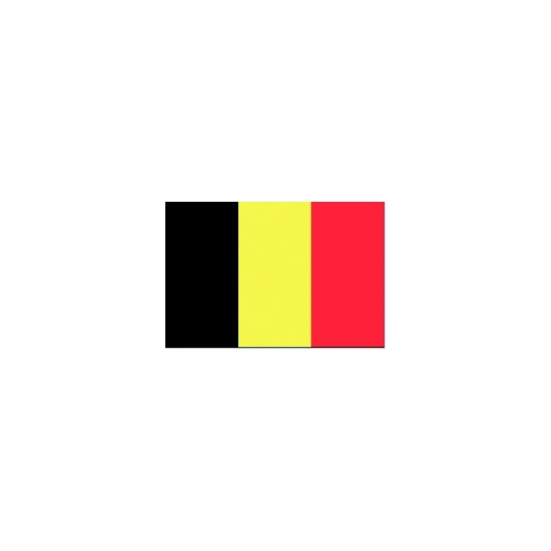 Belgian flag 20x30 cm