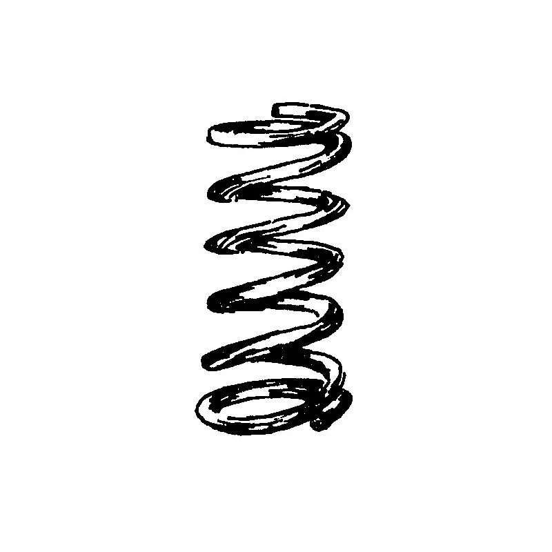 Stainless steel spring length 60mm