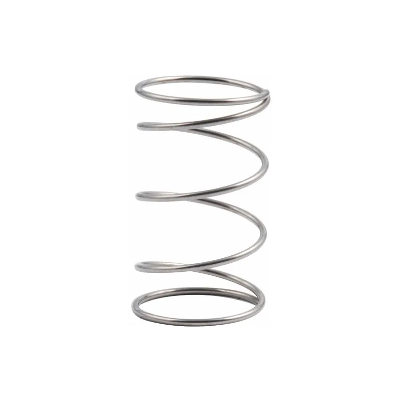 copy of Allen Stainless steel spring