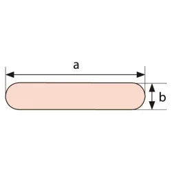 copy of Bainbridge Pultruded Batten Rectoid 30 x 4.4mm